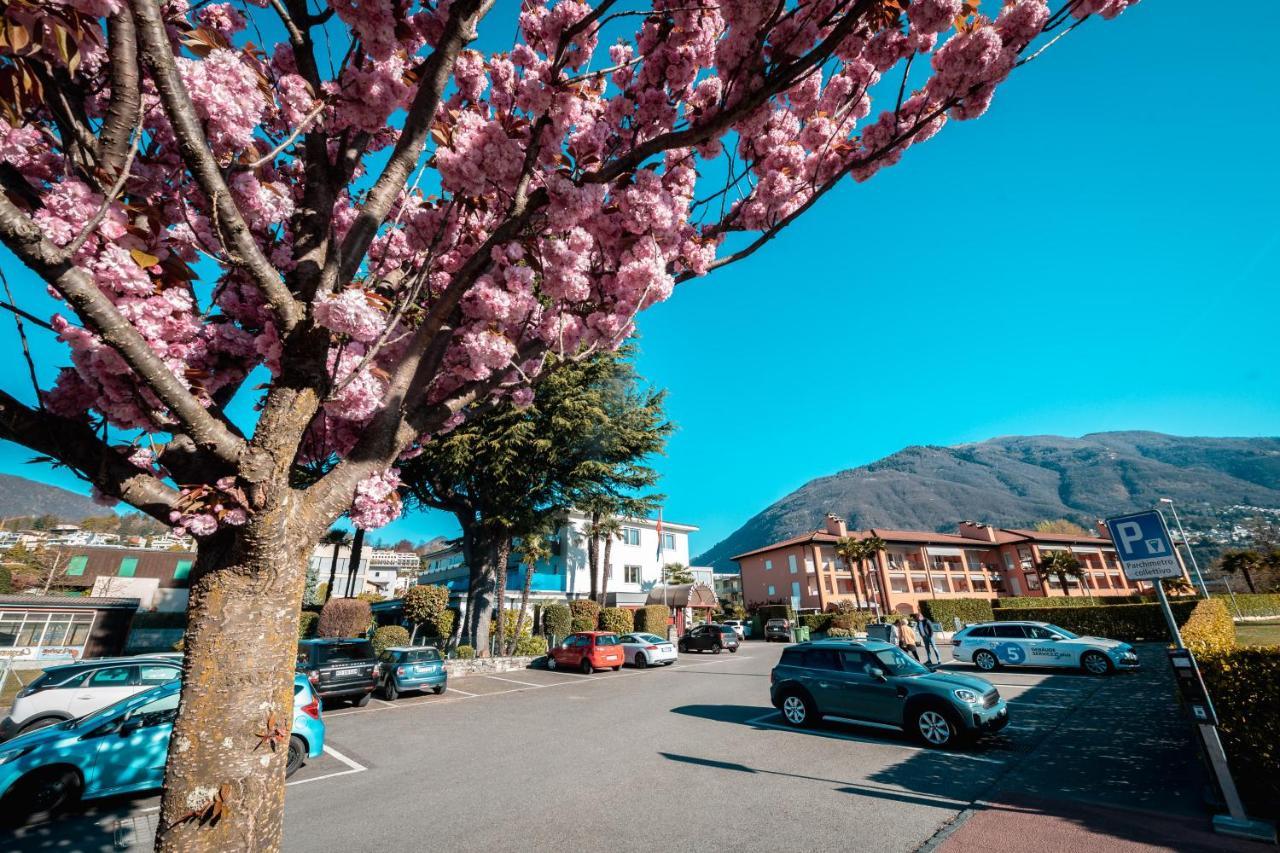Ascona Lodge, Pool & Garden Retreat Exterior photo